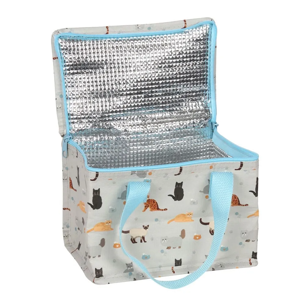 Cat Print Lunch Box