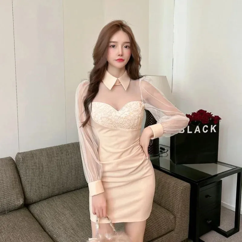 Wenkouban Women Sexy Slim Mesh Splicing Mini Dress, Korean Fashion Design, Polo Collar, Long Sleeve, Hot Girl, Club, Evening Party Dress,